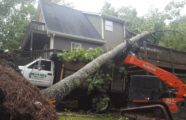 storm damage tree cleanup in Newtown
