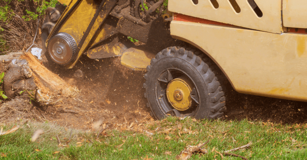 How Long Does Stump Grinding Take